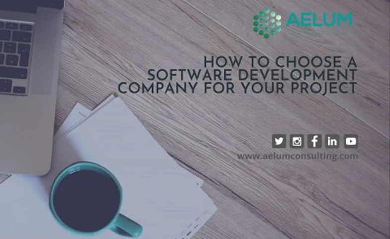 Right Software Development Company