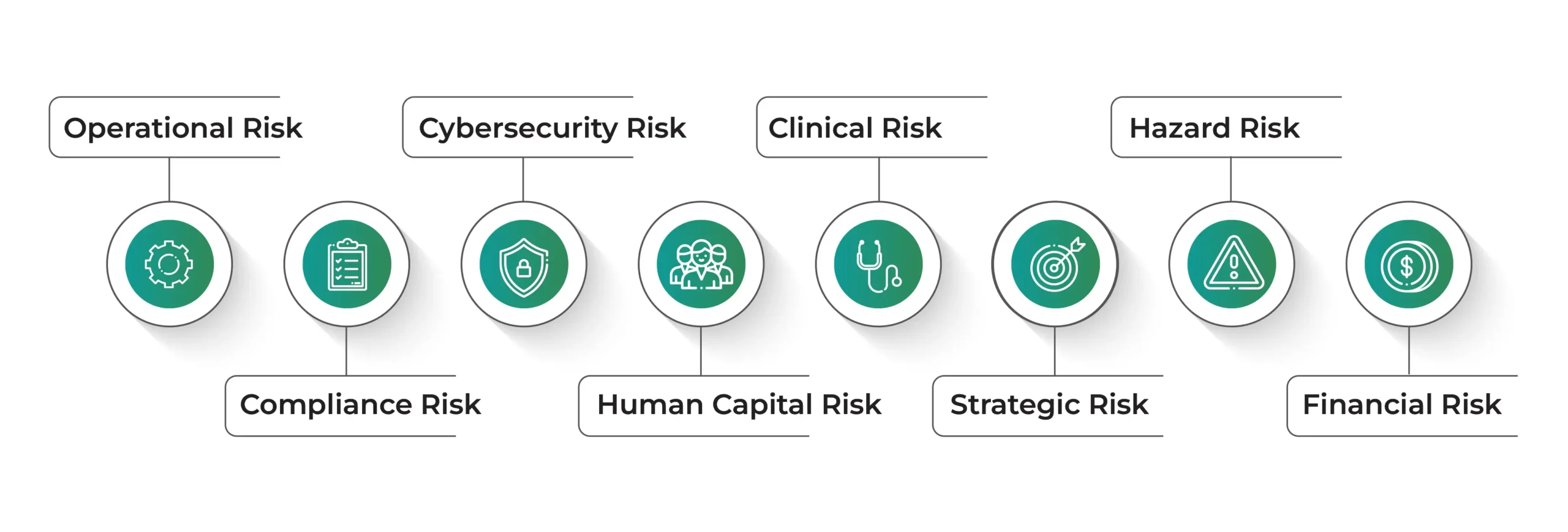 Inforgraphic of types of risk management in healthcare 